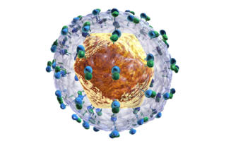 hepatitis-c-virus-320x207.jpg